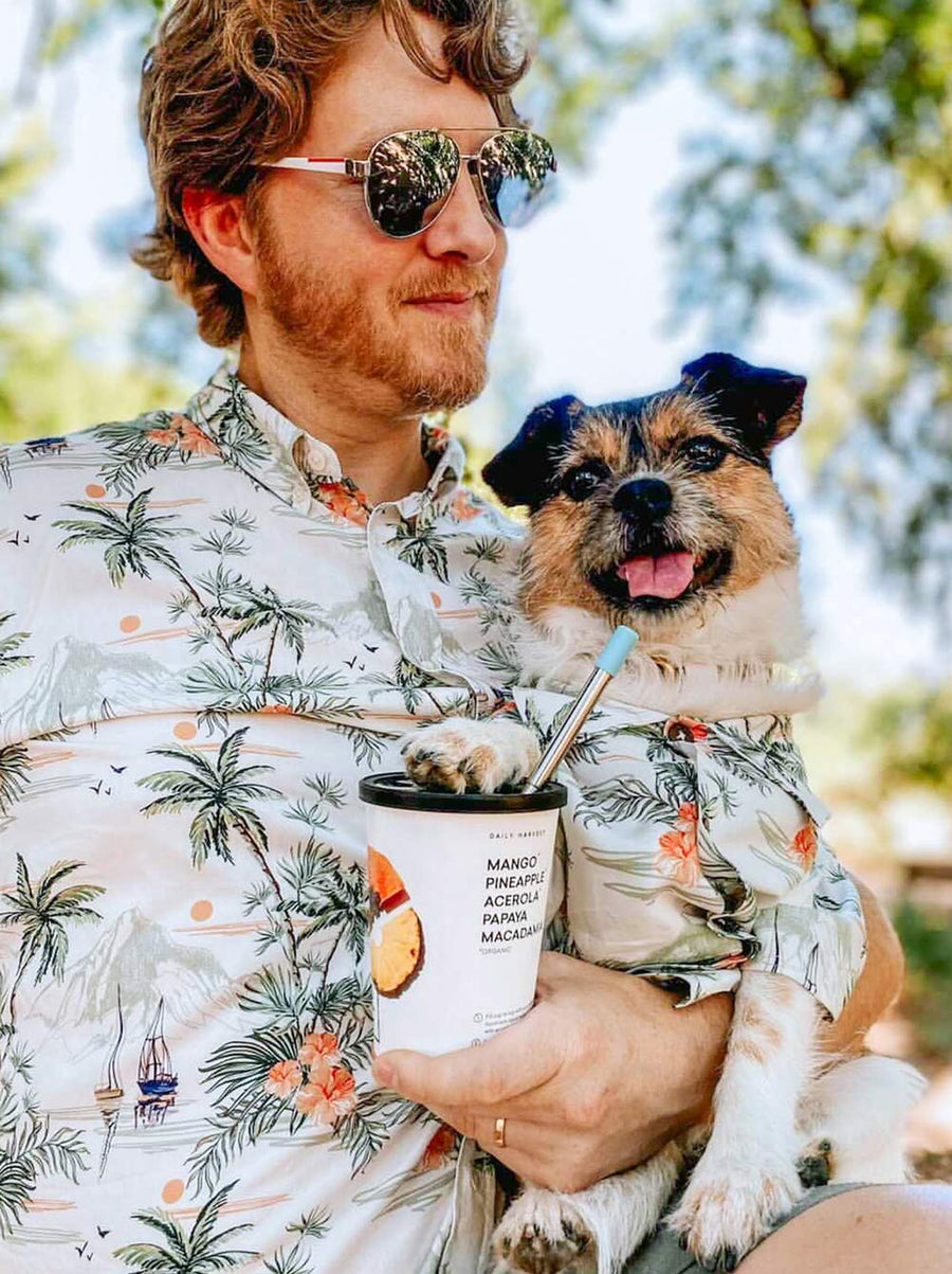 The Sail Away BBQ Shirt — Matching Tropical Shirts for Dogs & Kids