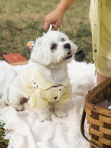 Nantucket Set matching adult & pet apparel detail 6