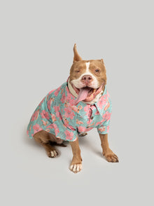 Washed Out BBQ Shirt matching adult & pet apparel detail 7