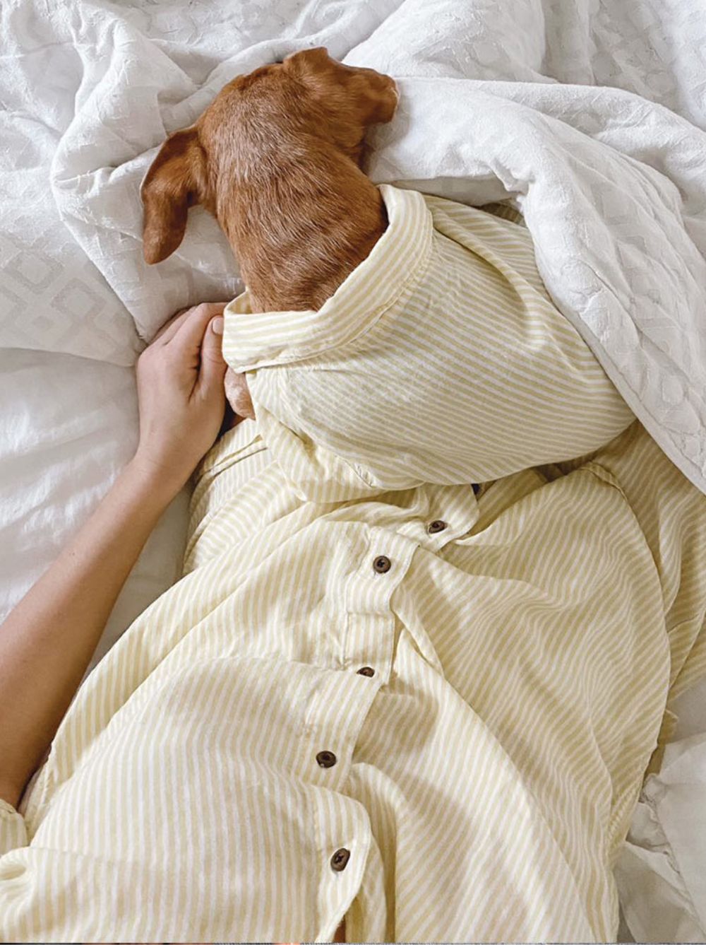 Nantucket Set matching adult & pet apparel