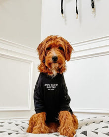 Embroidered Tee pet apparel
