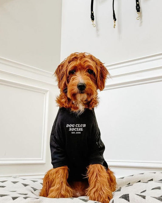 Embroidered Tee pet apparel