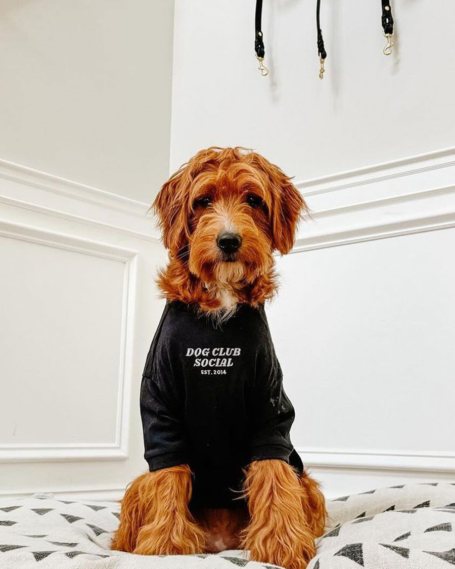 The Embroidered Tee — Premium Cotton Dog Tee with Monochromatic Embroidery