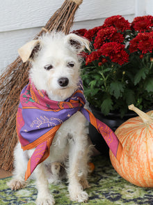 Basic Witch Bandana pet bandana detail 6