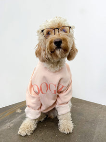 Dogue Crewneck matching adult & pet apparel detail 3