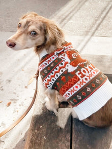 Foxy Sweater pet apparel detail 5
