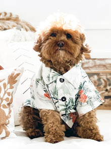 Sail Away BBQ Shirt matching adult & pet apparel detail 3
