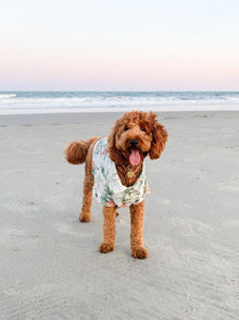 Sail Away BBQ Shirt matching adult & pet apparel detail 2