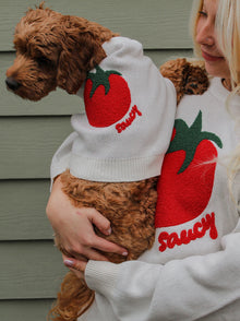 Saucy Sweater matching adult & pet apparel detail 2