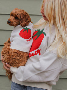 Saucy Sweater matching adult & pet apparel detail 4