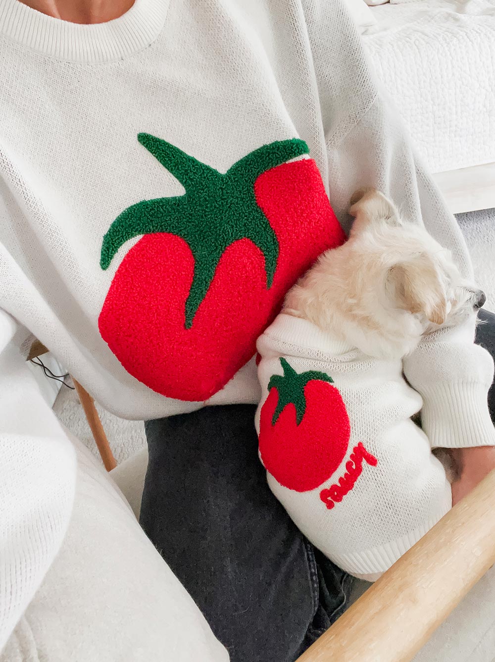 Saucy Sweater matching adult & pet apparel