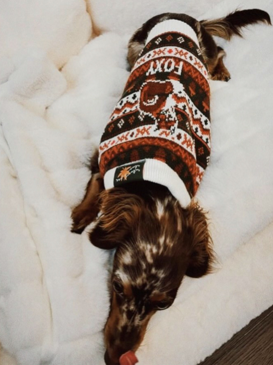 The Foxy Sweater — Cozy Dog Sweater for Autumn & Beyond