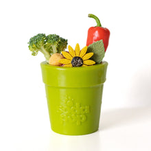 Large Flower Pot eCup Dog Treat Dispenser | Durable USA-Made Enrichment Toy | SodaPup