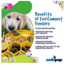 Honeycomb eBowl Deep Slow Feeder Dog Bowl for Enrichment | USA Made