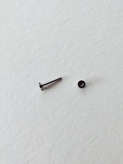 Flat Back Teeny Tiny Monstera Deliciosa Plant Studs