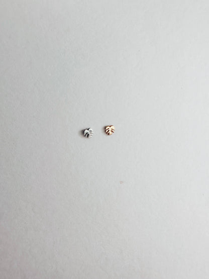 Flat Back Teeny Tiny Monstera Deliciosa Plant Studs