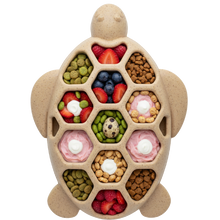 Turtle Nylon Chew Toy - Ultra-Durable Enrichment Toy for Power Chewers USA